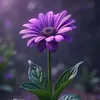 user1205536174682