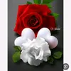 alizaxoi8