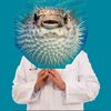Dr Pufferfish