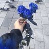 nony_qtr