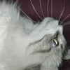 melissavi_15