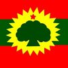 sobontu234