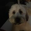 joseph_2844