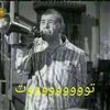 shabanoralrammisatreasu1