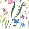 wildflowerhealing