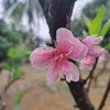 khanhhoa1995lam