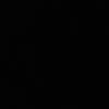 sjc969