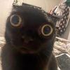thegamingrice19