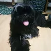 princeherrera4