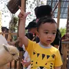 anhnam_emlinh