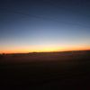 here_to_have_fun12