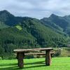 boehar.id