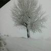 user1763014243215