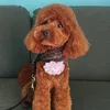 joliepoodle