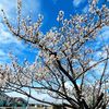 iyann_342