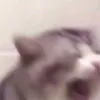 queenrora04