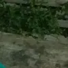 lunaaa.na_