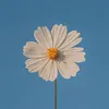 jun_2000.06
