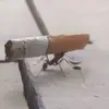 auxater