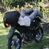 torasudiro81