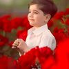 عالم الورد (world of roses)