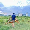linh62793