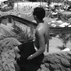 vtzin_hss