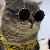 Catmeme