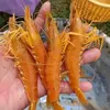 user6di5dzc7gg