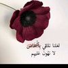 dalalhoushia