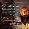 basha99ba0