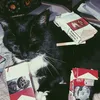coco_bean01