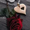 user4304245285619