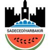 DİYARBAKIR AMED