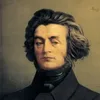 zynomek
