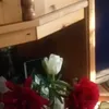 vuckoseferovic