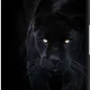 imiimane20