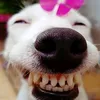 oixixinh