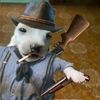 arthur_morgantlt