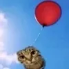 derwahrekakamatz
