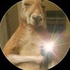 rexprogamer_01