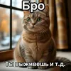 mrlololoshka...993