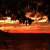 syajeonsyaer