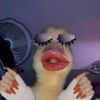 sukaa_susuultra