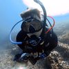 joshthediver
