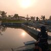 jotykhan00