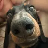 emilyhunter02