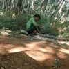 abdulmalik1470