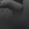 abody0590
