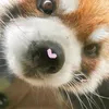 dudyssz_